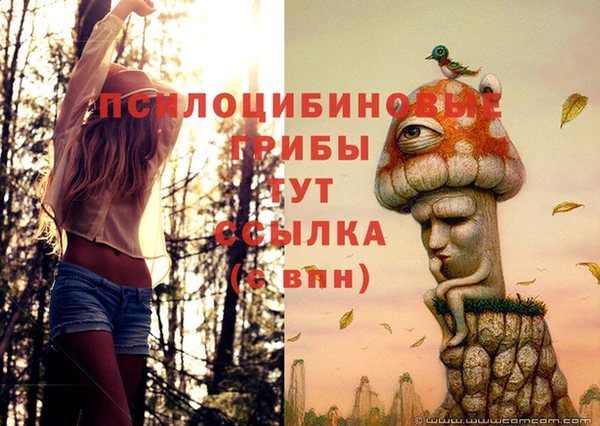 прущая мука Армянск