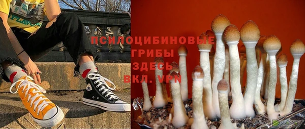 прущая мука Армянск